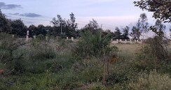 Plot For Sale in Mahaveer Green Meadows