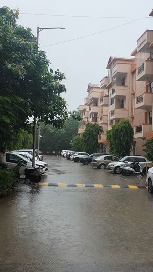 3 BHK Apartment For Rent in SRS Prime Floors, Sector 87