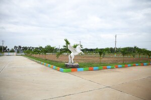  Plot For Sale in Bhogapuram