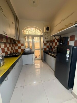 Kitchen in 5 BHK Builder Floor at Sector 15 – for Rent