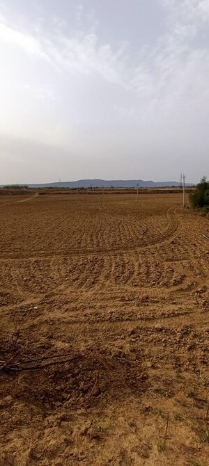  Land For Sale in Pushkar