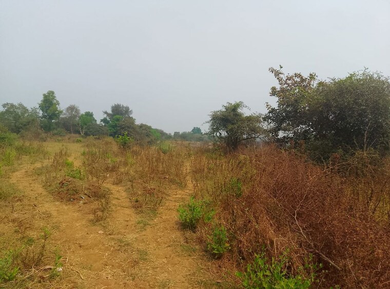 undefined, uran Commercial Land 1089 Sq.Ft. In Uran Navi Mumbai 10518997