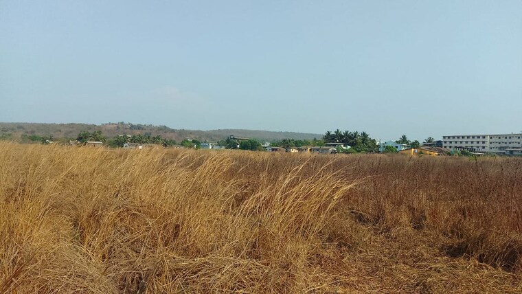 undefined, uran Commercial Land 1089 Sq.Ft. In Uran Navi Mumbai 10518997