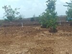 1089 Sq.Ft. Plot in Uran