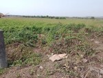 1089 Sq.Ft. Plot in Panvel