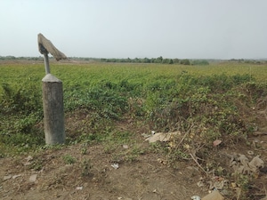 Plot Area in  Plot at Panvel – for Sale