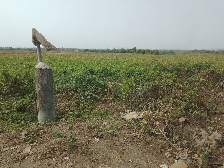 undefined, panvel  1089 Sq.Ft. Plot In Panvel Navi Mumbai 10519015