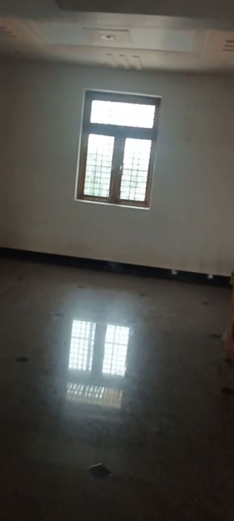 Room, mu 1 greater noida 1 Bedroom 800 Sq.Ft. Builder Floor In Mu 1 Greater Noida Greater Noida 10519363