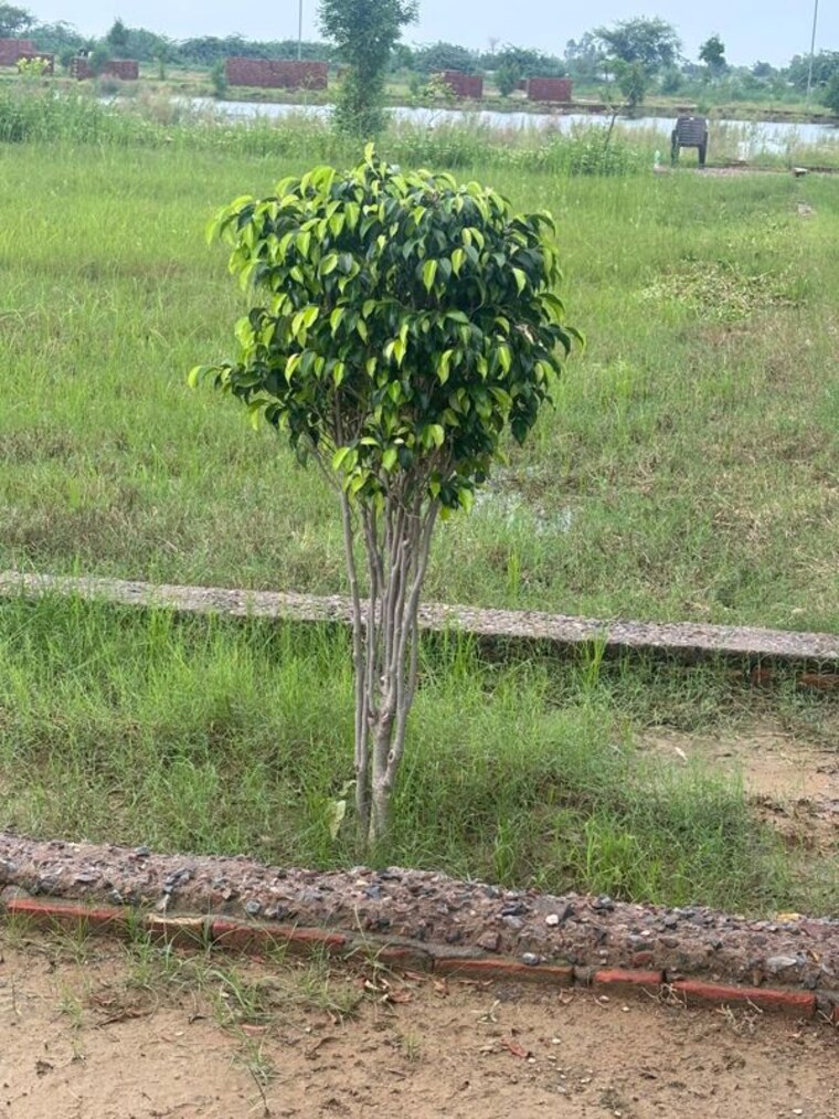 undefined, kosi  180 Sq.Yd. Plot In Kosi Mathura 10519451