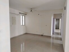 2 BHK + Prayer Room,Study Room,Store Room Builder Floor For Rent in Sector 21