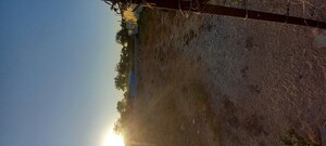   Land at Ognaj – for Sale