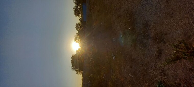 Garden, ognaj Commercial Land 1900 Sq.Yd. In Ognaj Ahmedabad 10519561