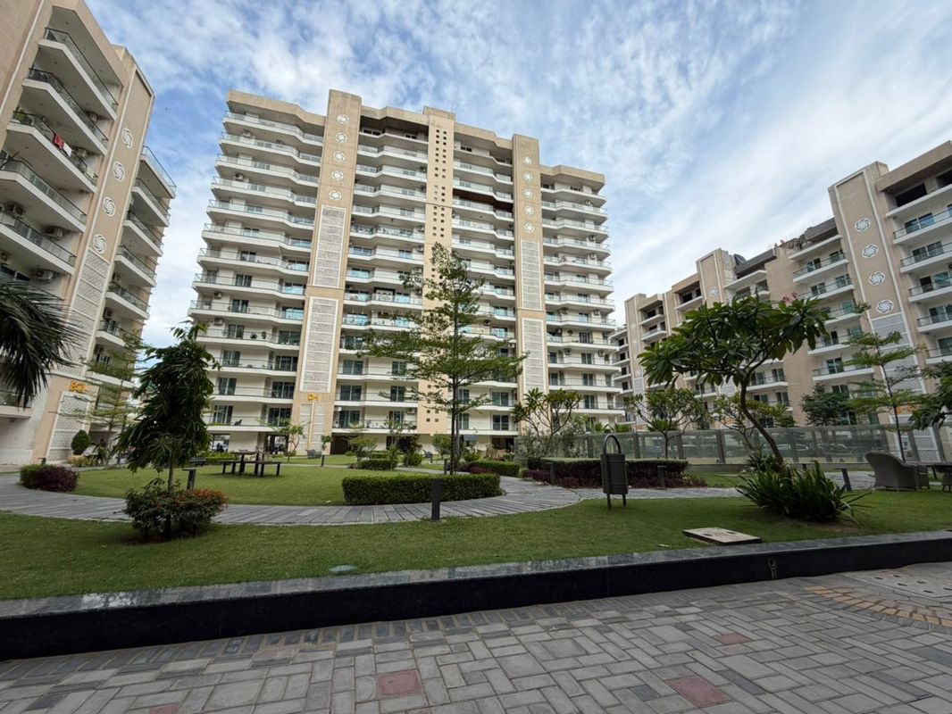 3 BHK 1650 Sq.Ft. Apartment in Hermitage Centralis