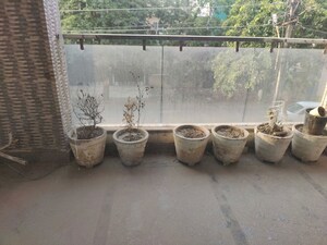 Living Room in 3 BHK Builder Floor at Sector 22 – for Rent