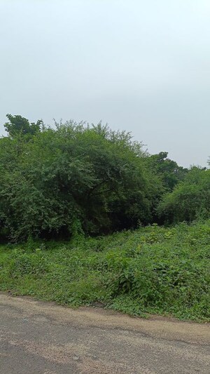 2 BHK Apartment – Garden View at New Town Action Area ii - for Sale