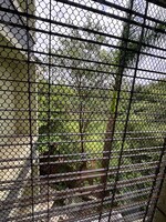 1 BHK 450 Sq.Ft. Apartment in Mansi Regency