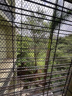 1 BHK Apartment For Rent in Mansi Regency