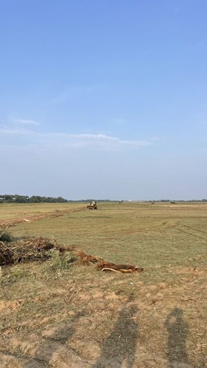 Plot Area in  Plot at Paramankeni – for Sale