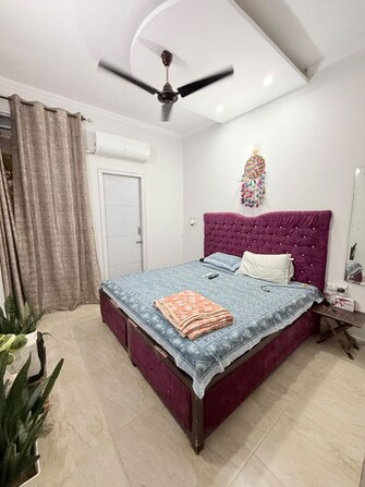 1 BHK + Study Room Apartment For Rent in Mittals Rishi Apartments Chandigarh in Ambala Highway, Zirakpur