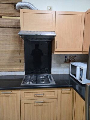 Kitchen in 3 BHK Apartment at Green Park – for Rent