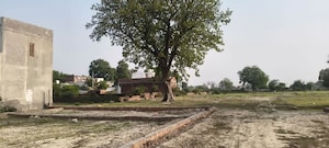 Plot Area in  Plot at Mohanlalganj – for Sale