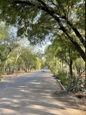 Plot Area in  Plot at Khoraj – for Sale
