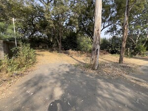 Plot Area in  Plot at Khoraj – for Sale