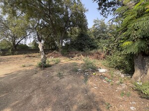  Plot For Sale in Khoraj