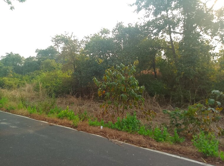undefined, vindhane  1089 Sq.Ft. Plot In Vindhane Navi Mumbai 10520963