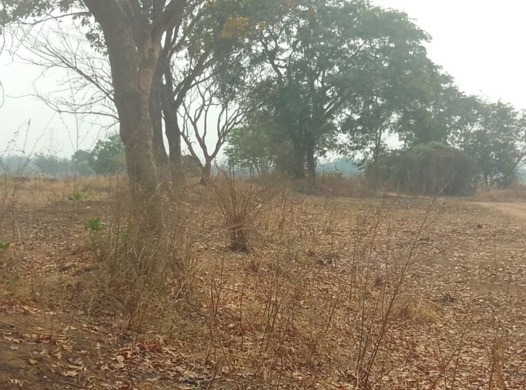 undefined, vindhane  1089 Sq.Ft. Plot In Vindhane Navi Mumbai 10520963