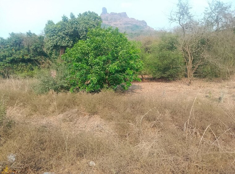 undefined, panvel Commercial Land 1089 Sq.Ft. In Panvel Navi Mumbai 10520980