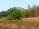 1089 Sq.Ft. Land in Panvel