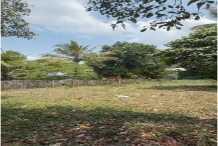 undefined, ramavarmapuram  8712 Sq.Ft. Plot In Ramavarmapuram Thrissur 10520994