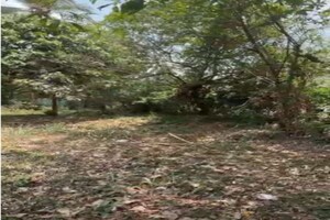 Plot Area in  Plot at Ramavarmapuram – for Sale