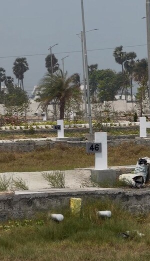  Plot For Sale in Nepalle