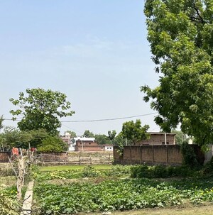 Plot Area in  Plot at Navalapur – for Sale