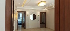 3 BHK + Prayer Room,Study Room,Store Room Builder Floor For Rent in Palam Vihar