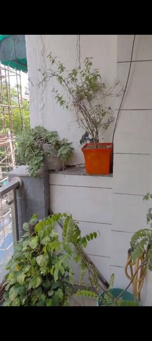 Balcony in 3 BHK Builder Floor at Nilothi – for Sale