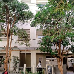 4 BHK + Servant Room Builder Floor For Sale in DLF The Grove