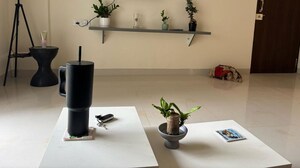 2 BHK Apartment For Rent in Porvorim