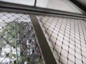 Balcony in 3 BHK Apartment at Nirala World Estate I, Tech Zone 4 Greater Noida – for Rent