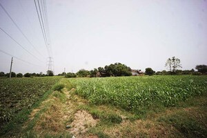 Plot Area in  Plot at Dahegam – for Sale