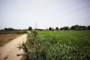 Plot Area in  Plot at Dahegam – for Sale