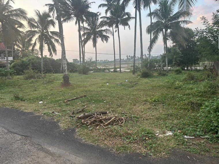 undefined, olary  4357 Sq.Ft. Plot In Olary Thrissur 10521447
