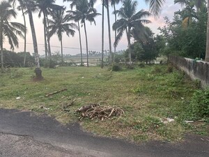 Plot Area in  Plot at Olary – for Sale