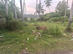 Plot Area in  Plot at Olary – for Sale