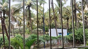 3 BHK Apartment – Garden View at Orvi D Building, Balewadi - for Rent