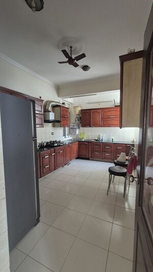 Kitchen in 3 BHK Builder Floor at Sector 21 – for Rent