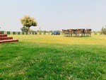 100 Sq.Yd. Plot in Bhondsi