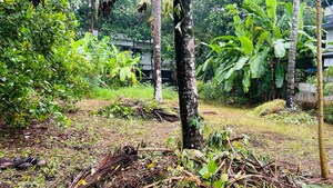  Plot – Garden View at Viyyur - for Sale